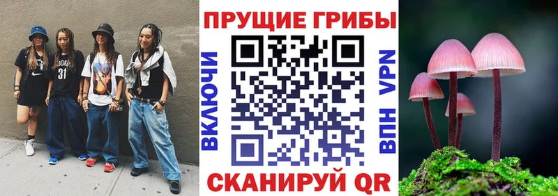 сколько стоит  Голицыно  OMG ТОР  Псилоцибиновые грибы мицелий 